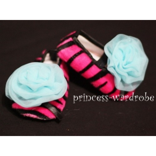 Baby Hot Pink Zebra Crib Shoes with Light Blue Rosettes S24 