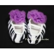 Baby Zebra Crib Shoes with Dark Purple Rosettes S07 