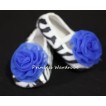 Baby Zebra Crib Shoes with Royal Blue Rosettes S09 